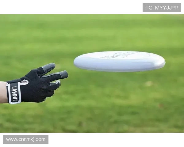 飞盘之路的探索与成长周强分享个人经历与未来展望