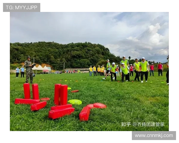 飞盘竞技新风潮:深入解析武汉飞盘队的战术与团队协作